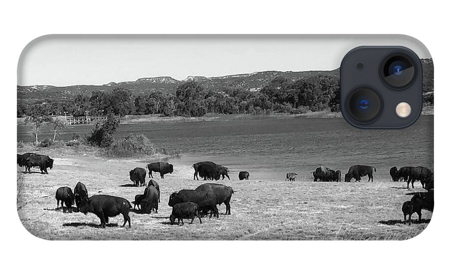 Richard E. Porter iPhone 13 Case featuring the photograph Bison at Lake Theo 1, Caprock Canyons State Park, Texas by Richard Porter