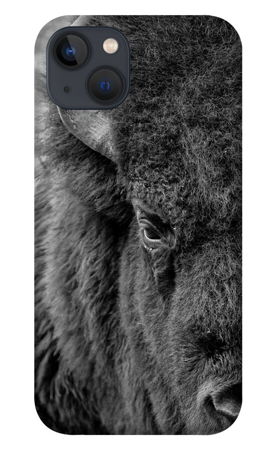 Bison iPhone 13 Case featuring the photograph Bison by Holly Ross