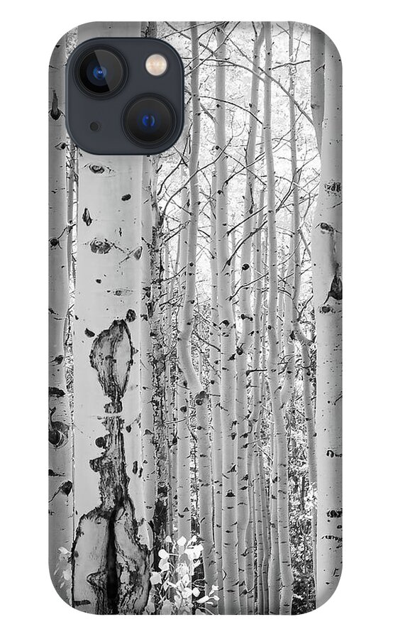 Black And White iPhone 13 Case featuring the photograph Black and White Aspen Grove by Rebecca Herranen