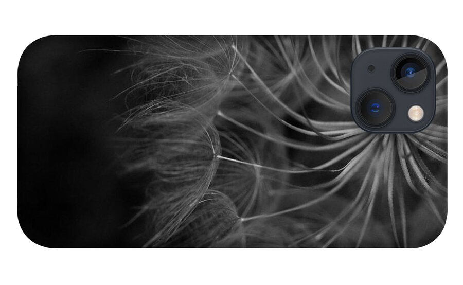 Nature iPhone 13 Case featuring the photograph Black and White Dandelion 1 by Amy Fose