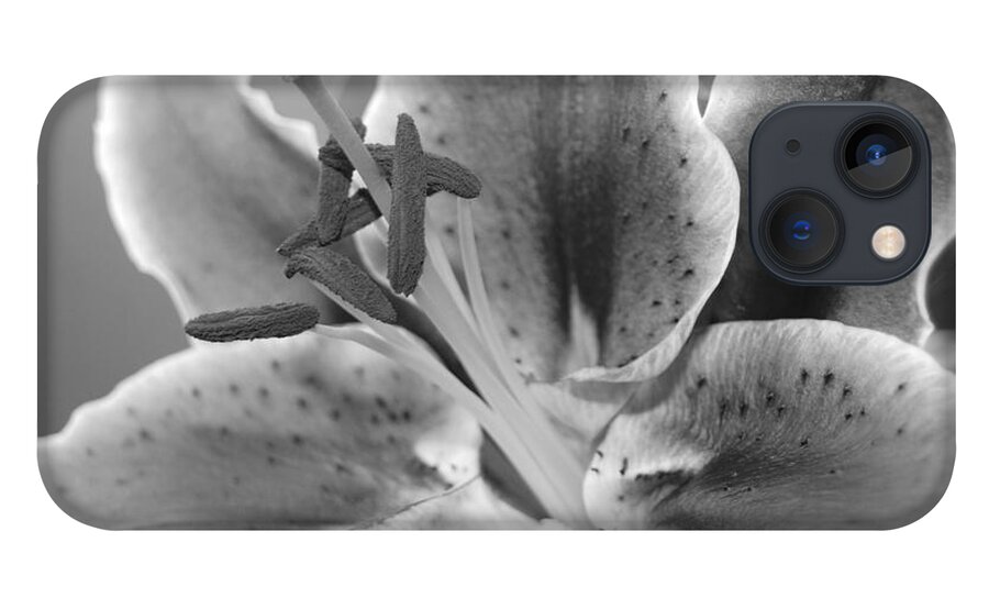 Lily iPhone 13 Case featuring the photograph Black and White Lily 2 by Amy Fose