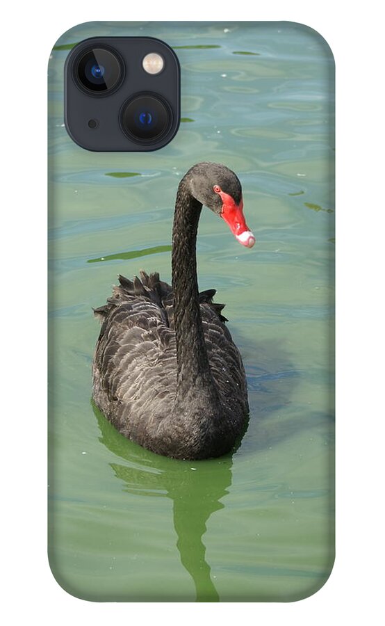 iPhone 13 Case featuring the photograph Black Swan by Heather E Harman