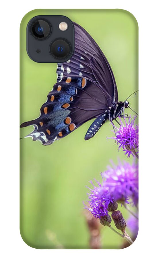 Butterfly iPhone 13 Case featuring the photograph Blue Swallowtail on Ironweed by Susan Rissi Tregoning