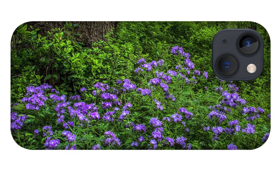 Bluebell iPhone 13 Case featuring the photograph Wildflowers on the South Fork by Shelia Hunt