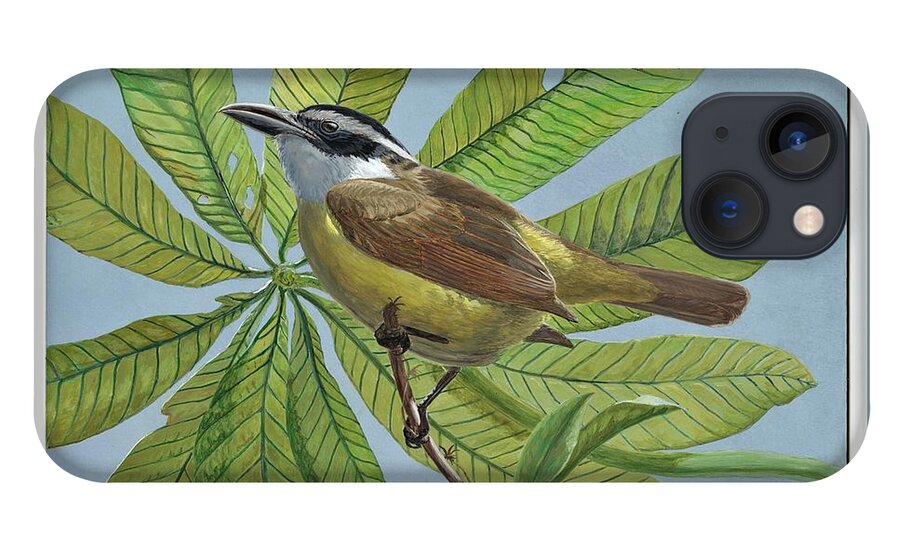 Boat-billed Flycatcher iPhone 13 Case featuring the painting Boat-billed Flycatcher by Barry Kent MacKay