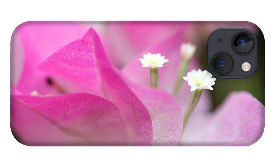 Bougainvillea iPhone 13 Case featuring the photograph Bougainvillea by Mingming Jiang