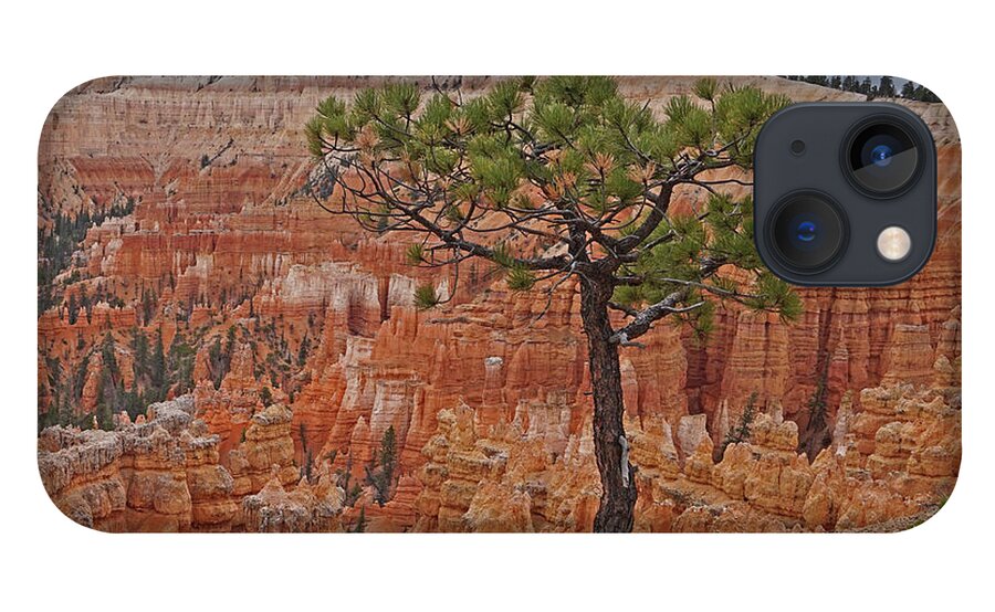 Bryce Canyon National Park iPhone 13 Case featuring the photograph Bryce Canyon National Park - Living On the edge by Yvonne Jasinski
