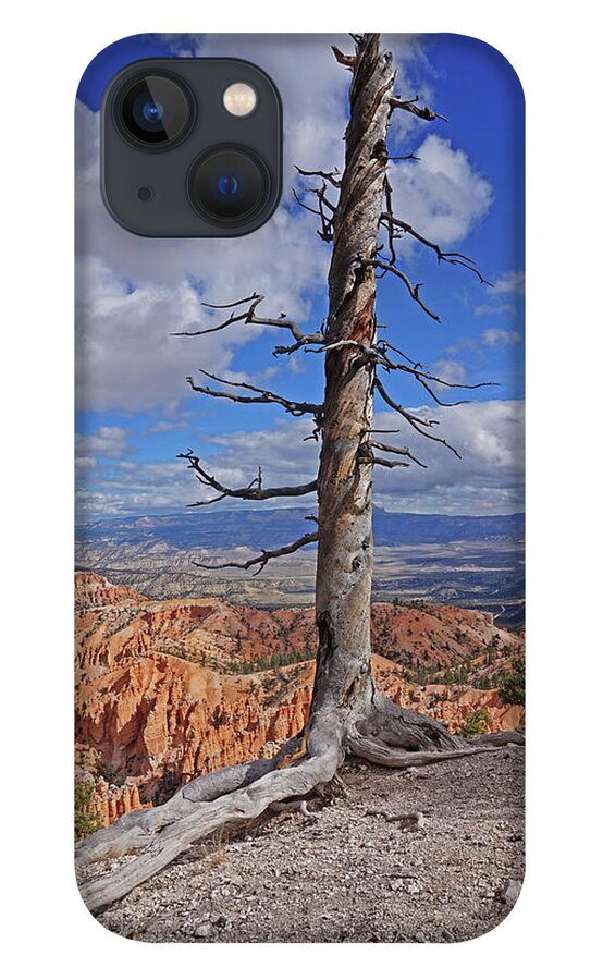 Bryce Canyon National Park iPhone 13 Case featuring the photograph Bryce Canyon National Park - Still standing by Yvonne Jasinski
