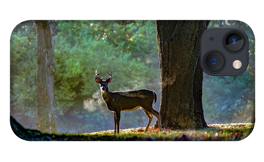 White Tailed Deer iPhone 13 Case featuring the photograph Buck Breath by Sandra Rust