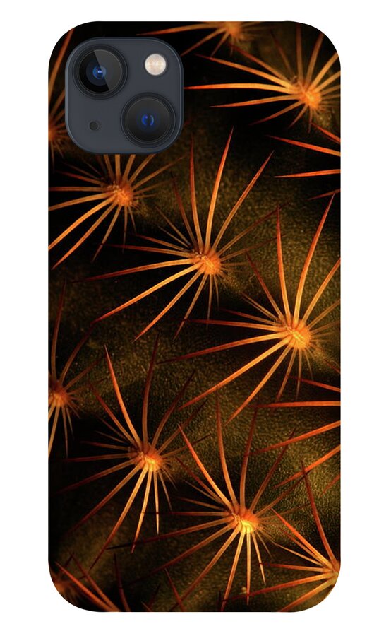  iPhone 13 Case featuring the photograph Cactus 9519 by Julie Powell