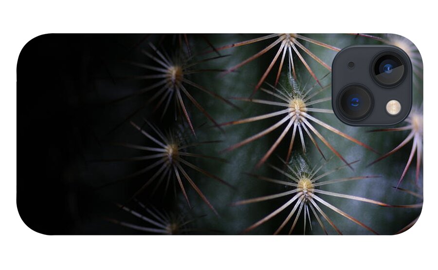 Cactus iPhone 13 Case featuring the photograph Cactus 9536 by Julie Powell