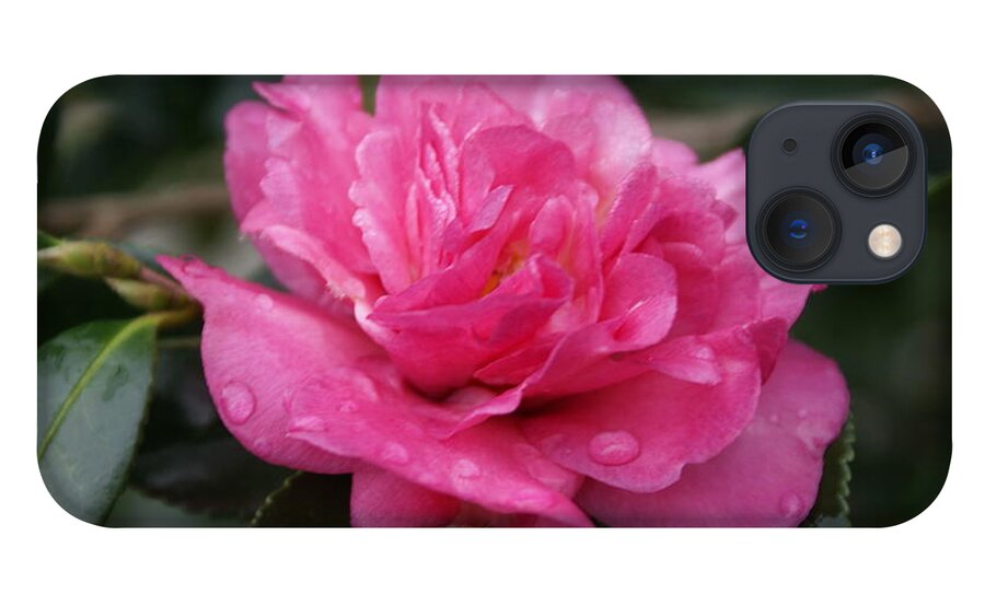  iPhone 13 Case featuring the photograph Camilla Flower by Heather E Harman