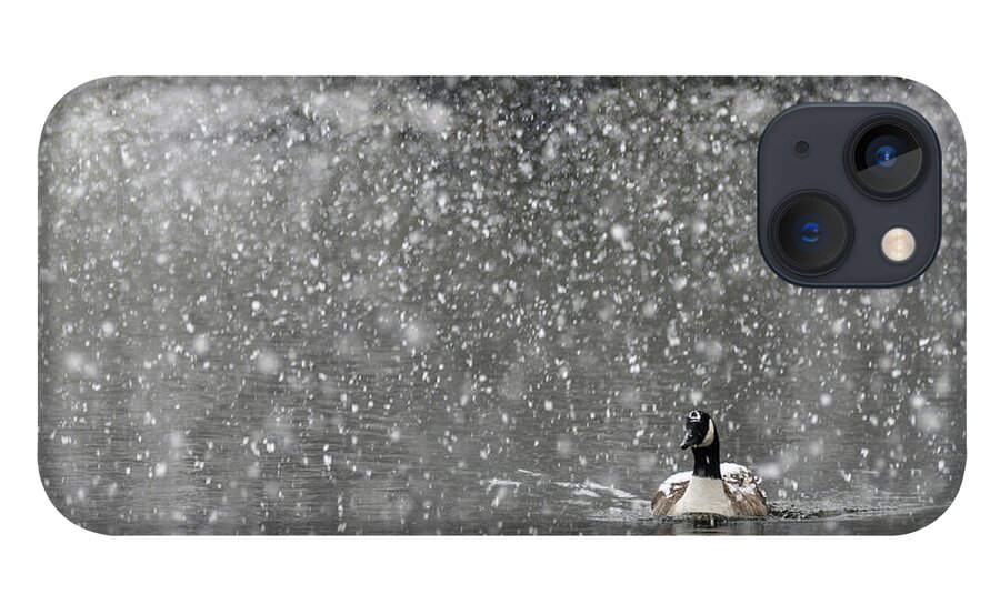 North America iPhone 13 Case featuring the photograph Canadian Goose in Snow 1 by Melissa Southern