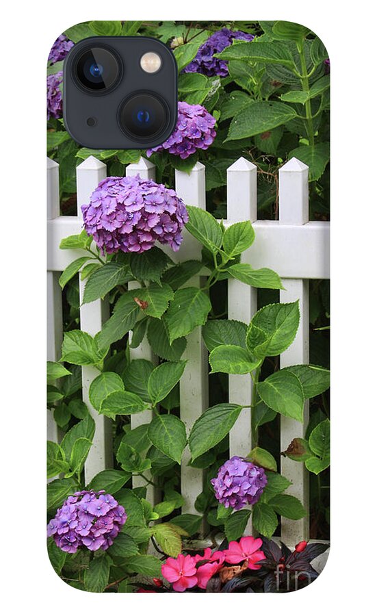 Hydrangeas iPhone 13 Case featuring the photograph Cape Cod Garden by Jayne Carney