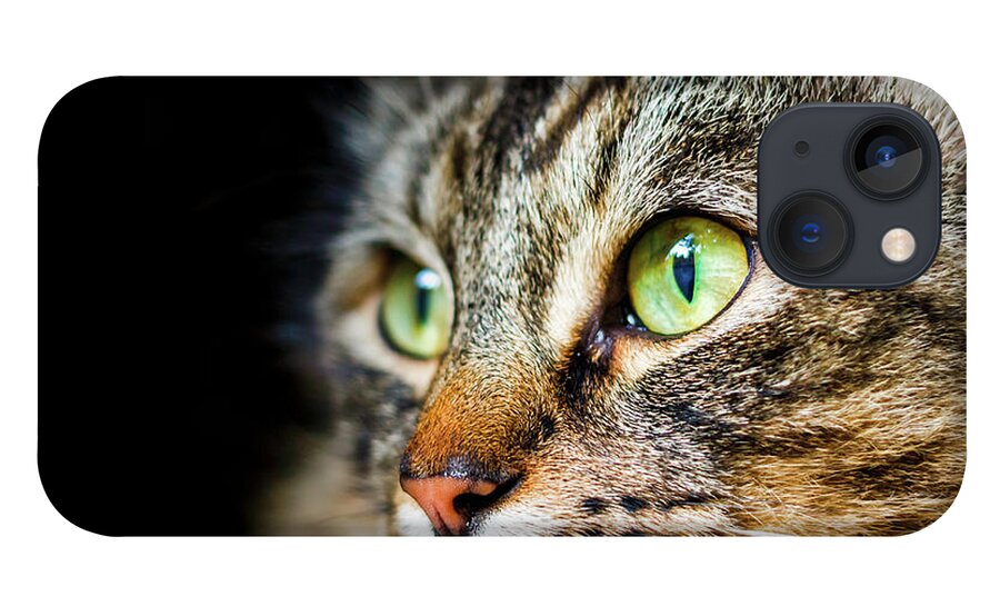 Cat iPhone 13 Case featuring the photograph Cat Stare by Rick Deacon