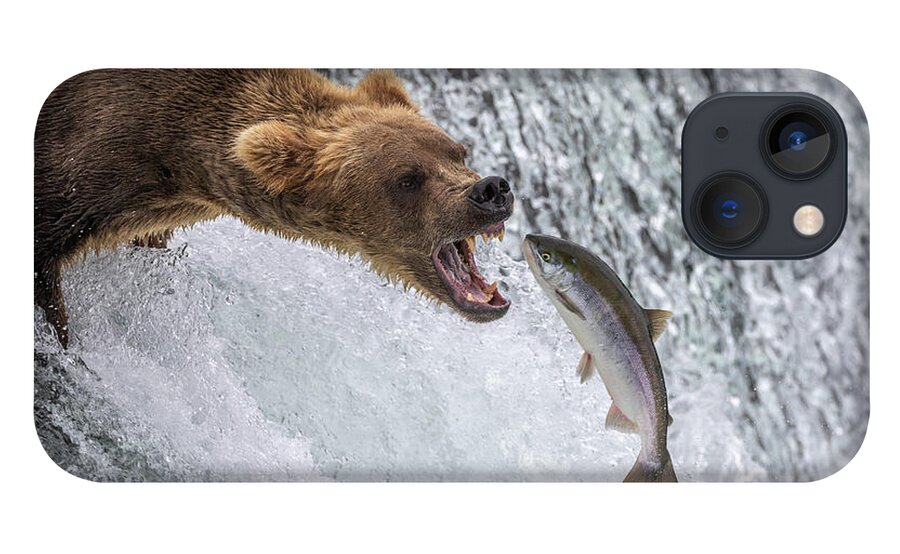 Grizzly iPhone 13 Case featuring the photograph Catch of the Day by Randy Robbins