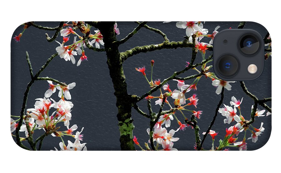 Bonnie Follett iPhone 13 Case featuring the photograph Cherry Blossoms on Dark Bkgrd by Bonnie Follett
