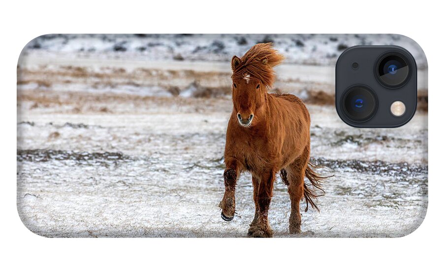 Running iPhone 13 Case featuring the photograph Chestnut Icelandic horse running across a frozen and snowy meado by Jane Rix