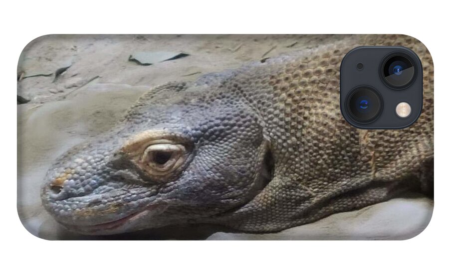 Komodo iPhone 13 Case featuring the photograph Chilling with a Komodo Dragon by Elena Pratt