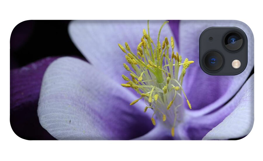 Macro iPhone 13 Case featuring the photograph Columbine 764 by Julie Powell