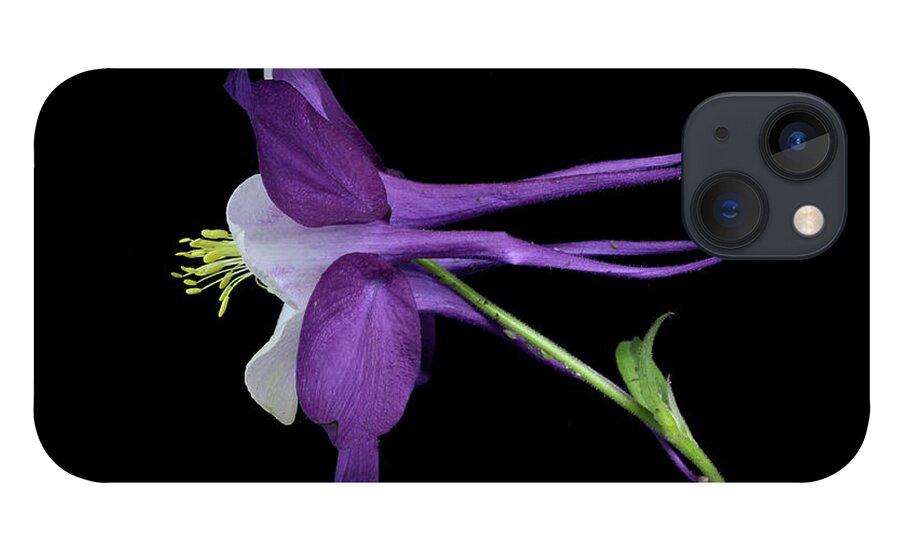 Macro iPhone 13 Case featuring the photograph Columbine 781 by Julie Powell