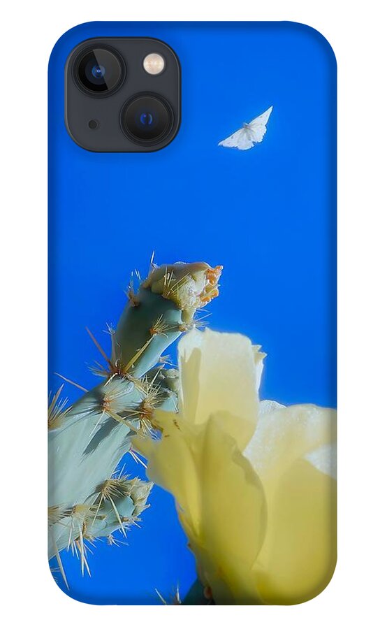 Prickly Pears iPhone 13 Case featuring the photograph Come Back by Judy Kennedy