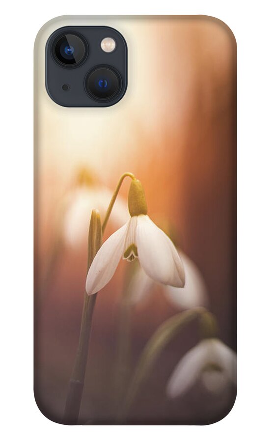 Europe iPhone 13 Case featuring the photograph Common snowdrop at sunset. Magic flower sprouting from the soil by Vaclav Sonnek