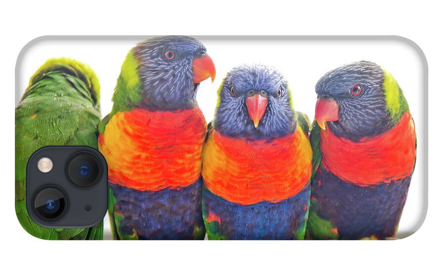Four Wild Rainbow Lorikeets Perched On A Railing iPhone 13 Case featuring the photograph Cosy by Az Jackson