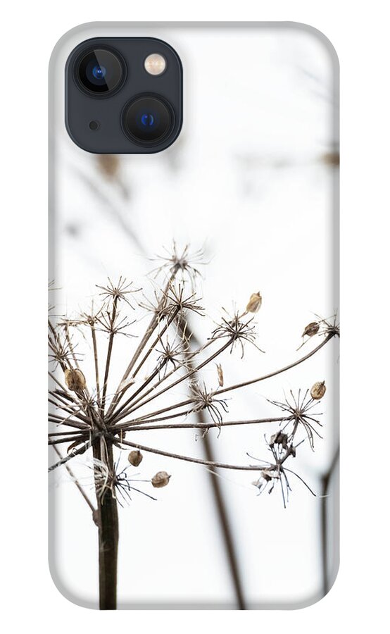 Richard Nixon iPhone 13 Case featuring the photograph Cow Parsley Heads by Richard Nixon