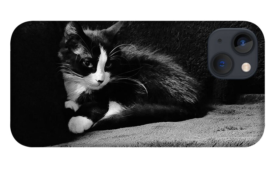 Kitten iPhone 13 Case featuring the photograph Cozy time kitty by Shalane Poole