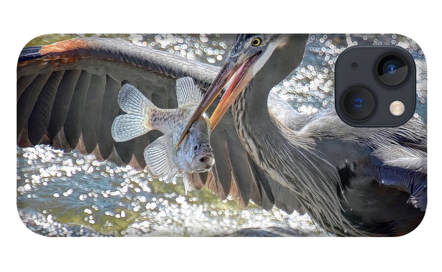 Great Blue Heron iPhone 13 Case featuring the photograph Crappie Day by Michael Frank