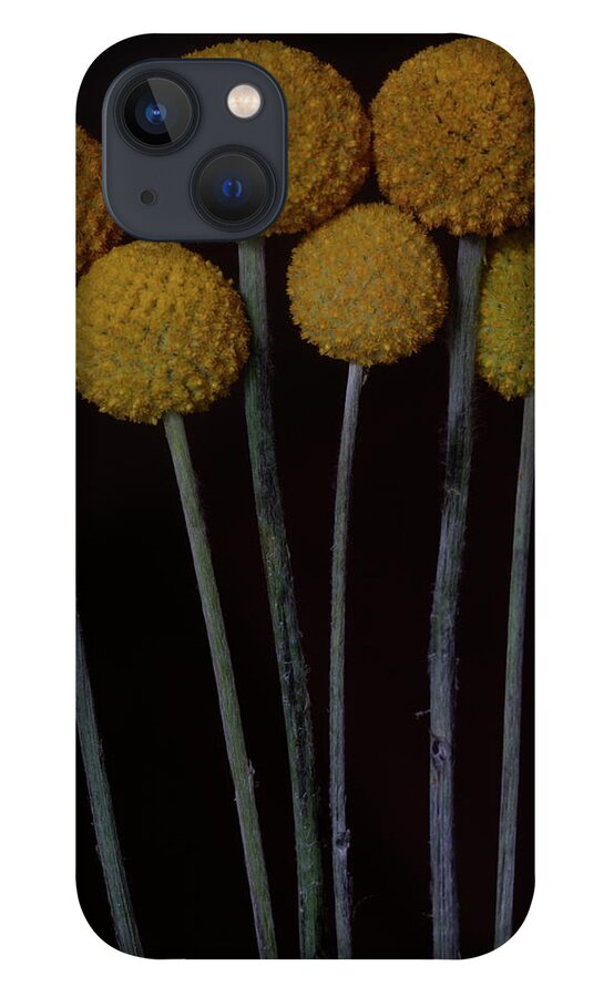 Macro iPhone 13 Case featuring the photograph Craspedia 4268 by Julie Powell