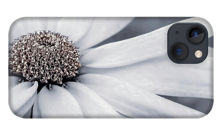 Nature iPhone 13 Case featuring the photograph Creame Fraiche Blue by Darlene Kwiatkowski