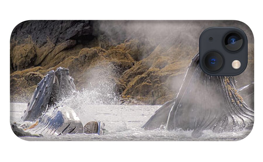 Whales iPhone 13 Case featuring the photograph Cruising the Shoreline by Michael Rauwolf