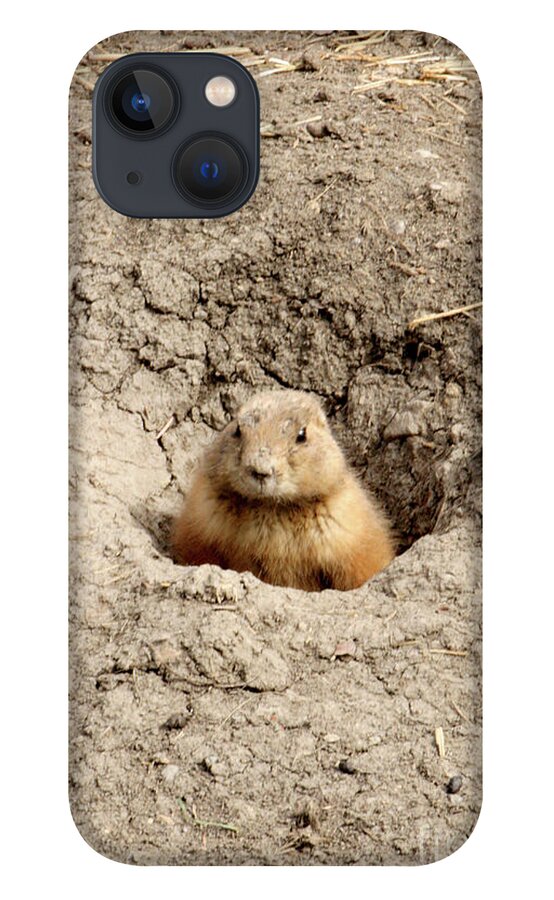 Canada iPhone 13 Case featuring the photograph Cute One by Mary Mikawoz