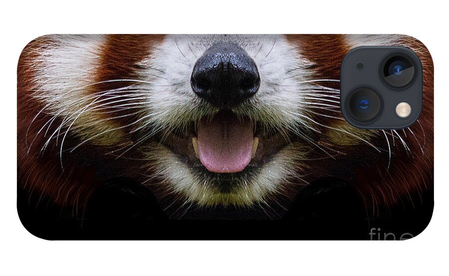 Red Panda iPhone 13 Case featuring the digital art Cute Red Panda Face by Laura Ostrowski