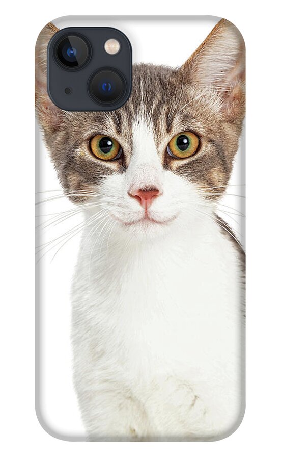 Cat iPhone 13 Case featuring the photograph Cute Smiling Young Cat Closeup by Good Focused