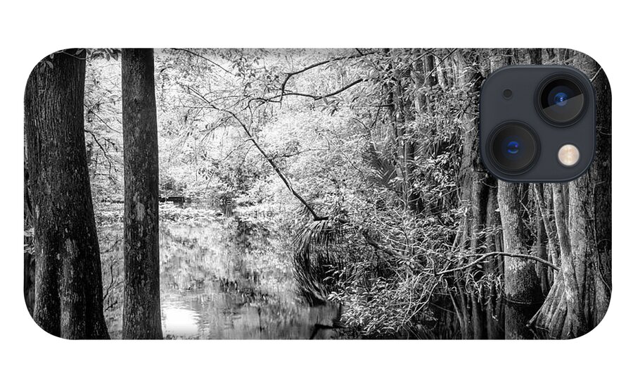 White iPhone 13 Case featuring the photograph Cypress Marsh Reflections Highlands Hammock Black and White by Debra and Dave Vanderlaan
