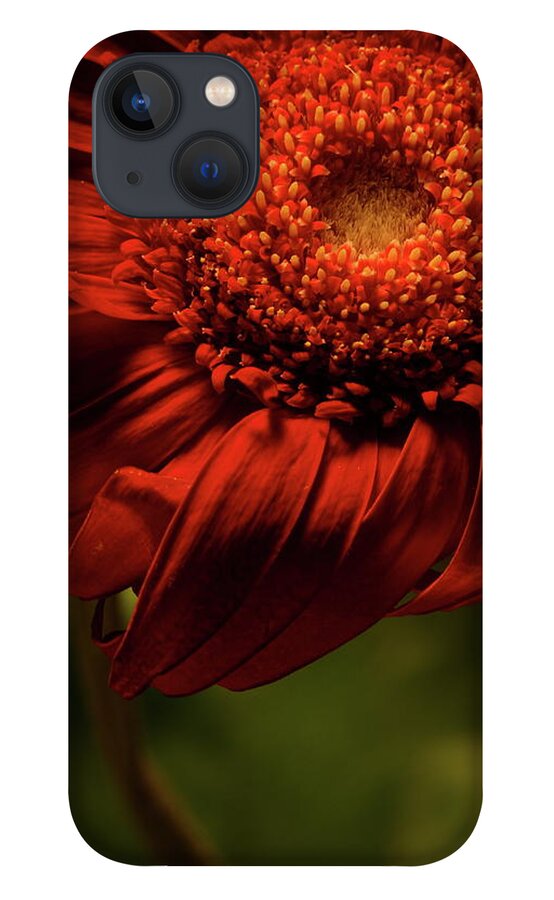 Flower iPhone 13 Case featuring the photograph Daisy 9783 by Julie Powell