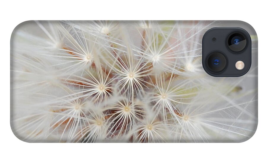 Nature iPhone 13 Case featuring the photograph Dandelion 1 by Amy Fose