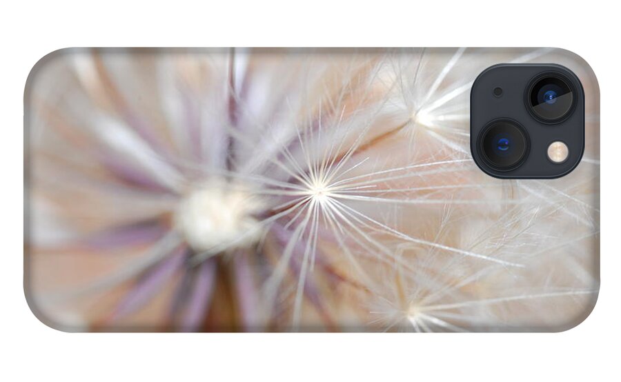 Nature iPhone 13 Case featuring the photograph Dandelion 2 by Amy Fose