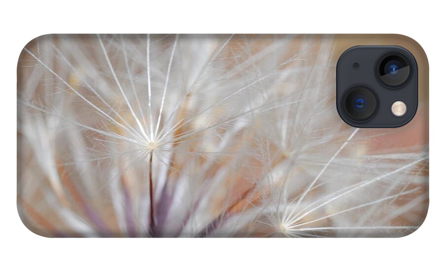 Nature iPhone 13 Case featuring the photograph Dandelion 3 by Amy Fose