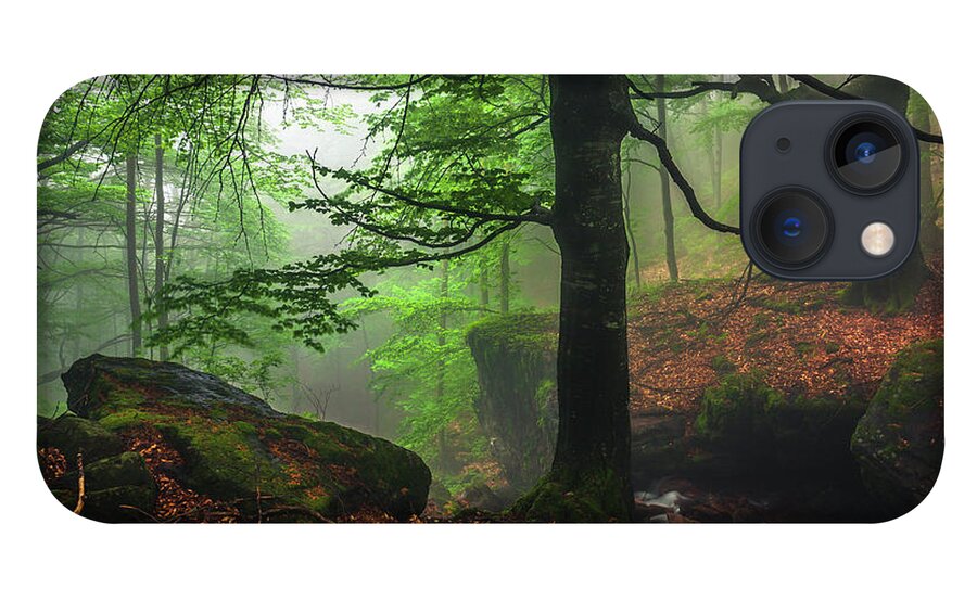 Fog iPhone 13 Case featuring the photograph Dark Forest by Evgeni Dinev
