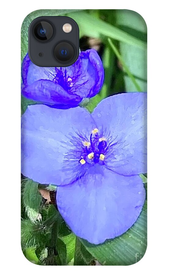Tradescantia iPhone 13 Case featuring the photograph Day 132 Pretty Violet Wild Flowers by Donna Mibus