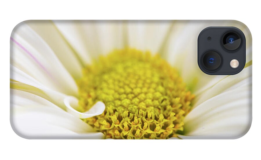 Flowers iPhone 13 Case featuring the photograph Daisy - Macro Flower Photography by Amelia Pearn