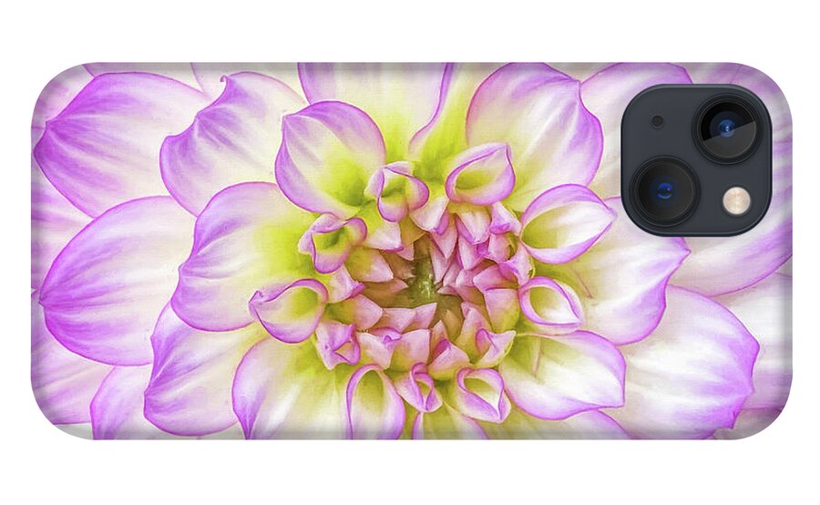 Dahlia iPhone 13 Case featuring the photograph Delicate Dahlia Petals by Kevin Lane