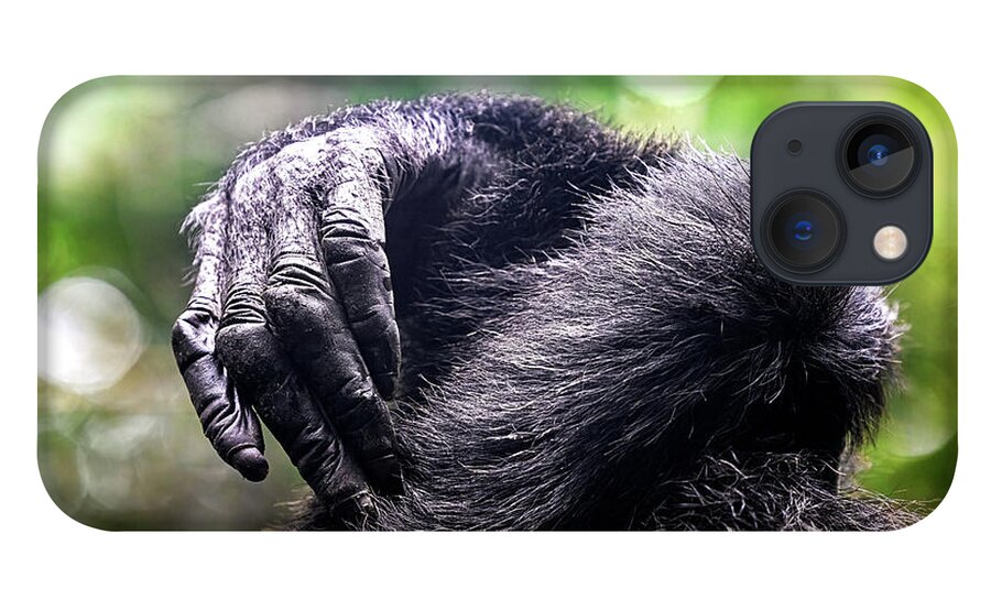Fingers iPhone 13 Case featuring the photograph Detail of the hands of two chimpanzees by Jane Rix