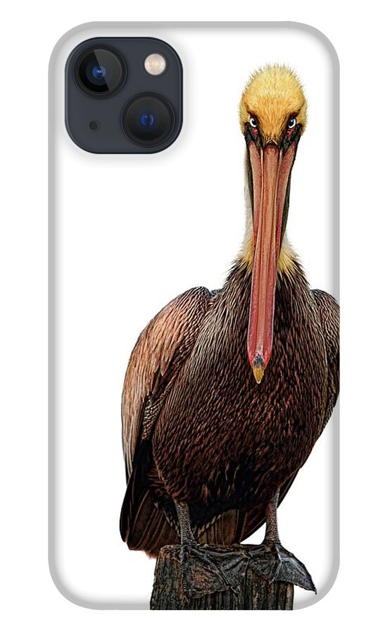 Pelican iPhone 13 Case featuring the digital art Disapproving Pelican by Brad Barton