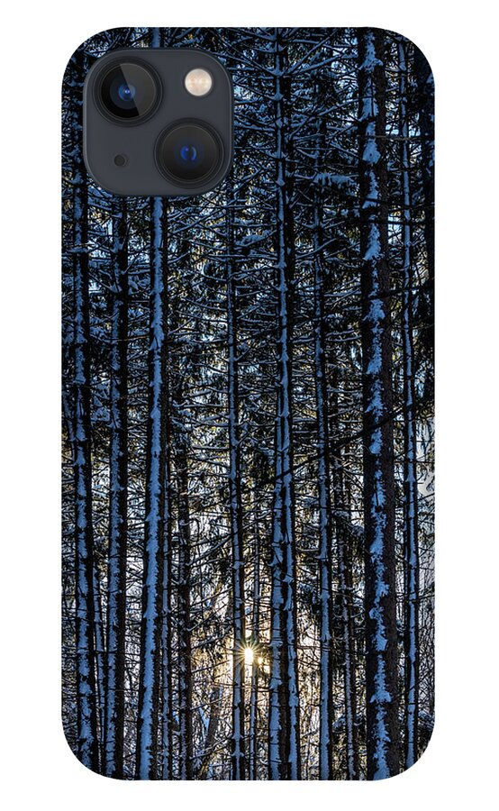 Pine iPhone 13 Case featuring the photograph Divine Timing by Kim Sowa