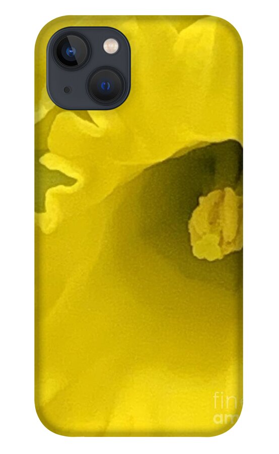 Daffodil iPhone 13 Case featuring the photograph Divinely Golden by Tiesa Wesen